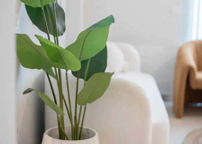 Appartement Aurelia Kos-stad