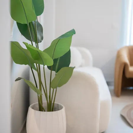 Apartment Aurelia Kos Town